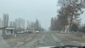 Как Жарят Узбеки Рыбу в Тандыре без Масла! Узбекистан! Ферганская Долина!