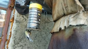 Антиворобьиная кормушка (для синичек).