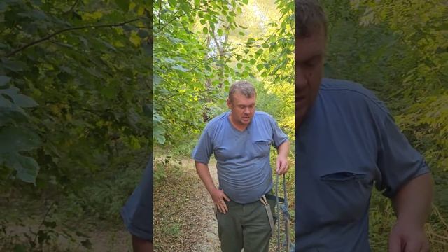 Обзор диска пилорамы husgvarna для бензокосы от Вячеслав RS смотреть онлайн