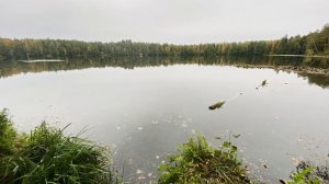 Озеро Оланге. Мари Эл .25 сентября 2022 г.