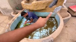 Ye Kia Halt Hogai Turtles ki?