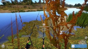 Русская Рыбалка 4  р.Ахтуба Вобла + прилов 2.08.24