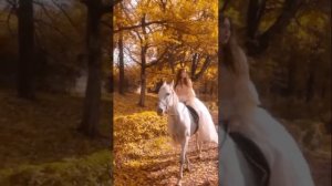 Анна Бершадская "ОСЕНЬ??"