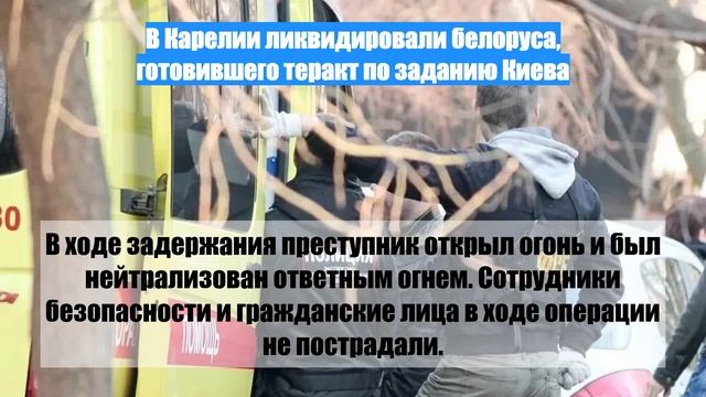 В Карелии ликвидировали белоруса, готовившего теракт по заданию Киева