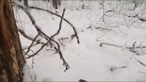 Солонец зимой -  как выглядит рабочий солоняк.