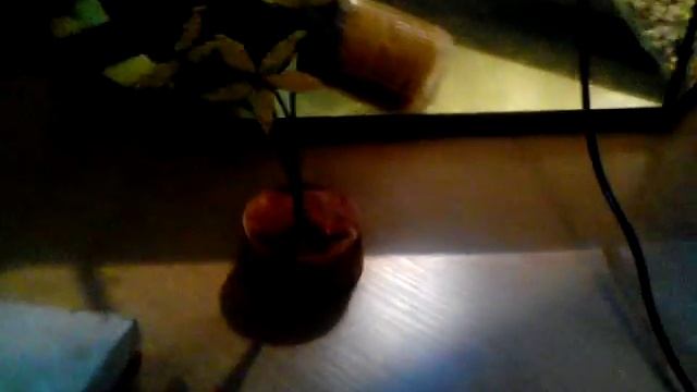 Мои творческие поделки смотреть онлайн