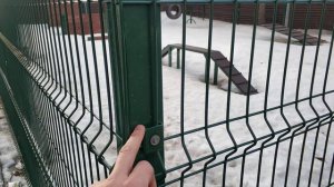 Забор 3Д сетка