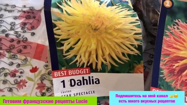 Какие цветы посадить на клумбе чтобы цвели все лето Неприхотливые многолетние цветы