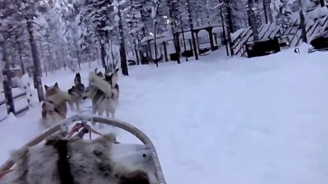 Смартфон Fly Firebird, видео смотреть онлайн