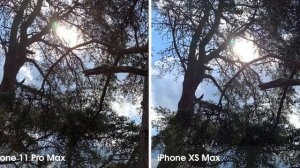 iPhone 11 Pro and iPhone 11 Pro max 25 features