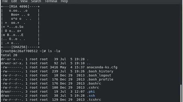 Connect linux OS via docker container using SSH. смотреть онлайн