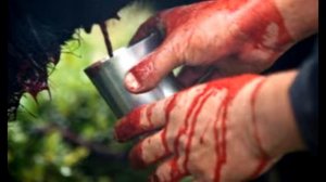 вампиры существуют?