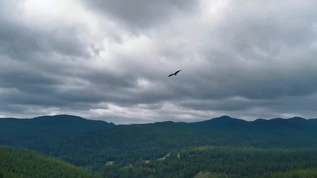 День 01: Телецкое озеро - Кату Ярык - Акташ - Чибит смотреть онлайн