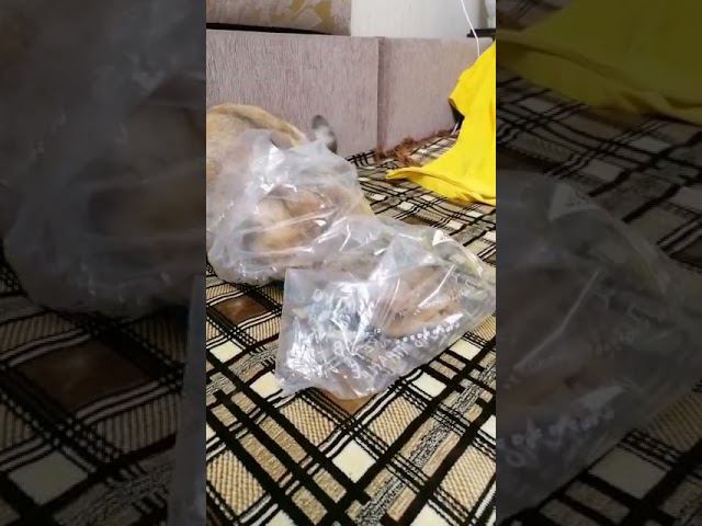 1 декабря 2021 г. смотреть онлайн