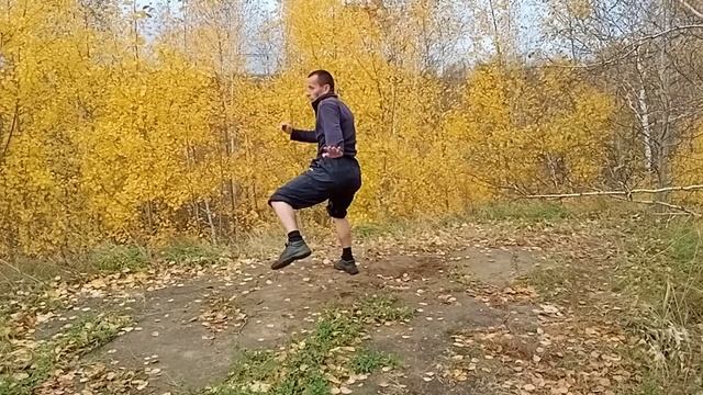 Боевая гимнастика 252