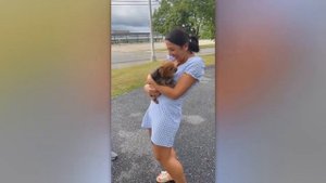 СПУСТЯ ГОДЫ ЖИВОТНЫЕ ВСТРЕТИЛИСЬ СО СВОИМИ ХОЗЯИНАМИ!