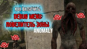 как включить Дебаг меню Debug menu Спавнер Повелитель зоны сталкер Anomaly H.A.Z.E Reloaded
