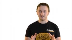 5 базовых принципов конверсионных страниц. Большой мозг от Artjoker