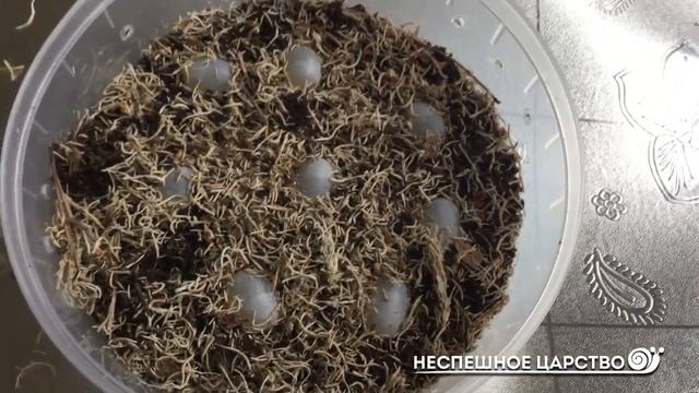 РАСПАКОВКА мега коробочки  ЧТО я с ними буду делать?