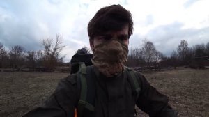 Дикие коровы в Чернобыле - они реально существуют? Уникальные животные Чернобыльской Зоны Отчуждени