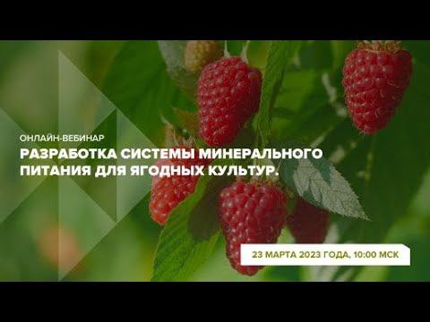 Онлайн-вебинар "Разработка системы минерального питания для ягодных культур"