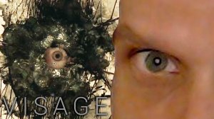 У стен есть глаза. Visage #13