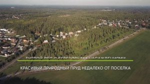 Коттеджный поселок "Грибово life"