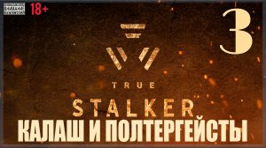 ☢ True Stalker | S.T.A.L.K.E.R. CoP mod #3 Взрывник, Брехун и Полтергейсты