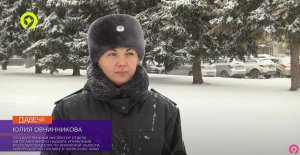 Елки — путешественницы из Кировской области