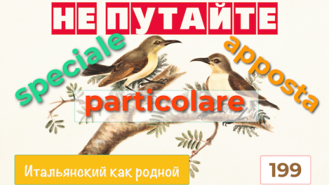Не путайте итальянские слова speciale, particolare и apposta – 199