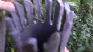 Стакан для сбора ягоды крыжовника.