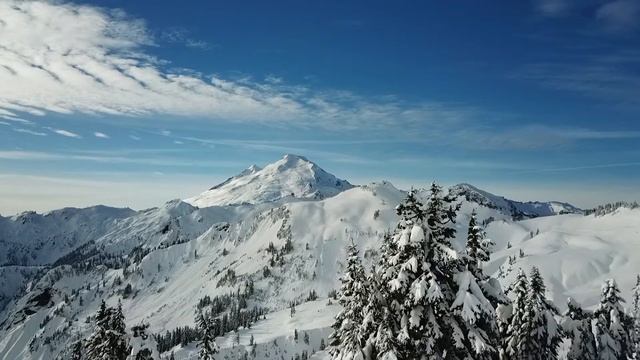 Placeholder video смотреть онлайн