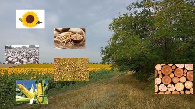 Geography of Ukraine reupload смотреть онлайн