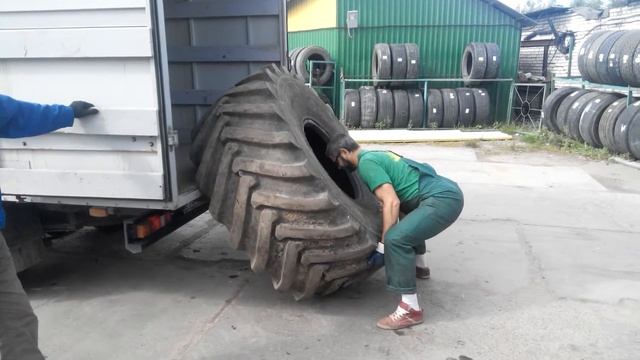 20 августа 2015 г. смотреть онлайн