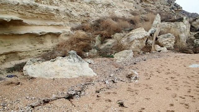 Бельгийский гриффон Вива Новогодний пляж Керчь Аршинцево Семь ветров смотреть онлайн