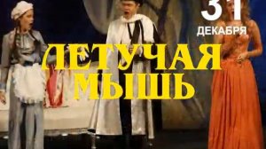 2015 12 31 В Новгород Летучая мышь 10