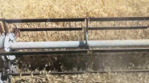 22 июля 2022 г.