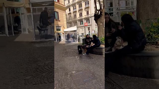 NAPOLI Vanvitelli #shortvideo 2023