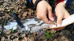 ВЫЖИВАНИЕ (3 способа обеззараживания воды)