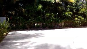 Территория отеля Gentl Grown Sanya 4*