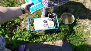 Всего три ложки этого средства и вы с огромным урожаем .Чем подкормить смородину.mp4