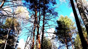 Заповедные места. Озеро Данилово. Село Курганка.