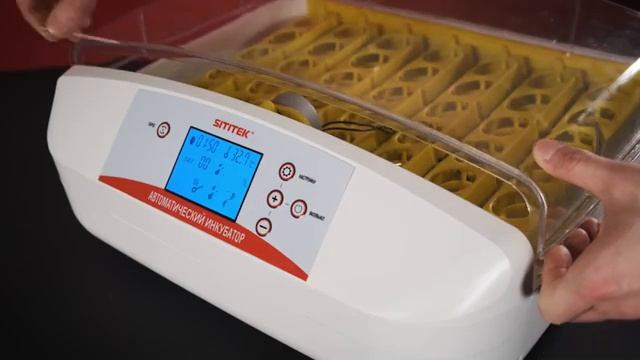 Инкубатор автоматический SITITEK 40 смотреть онлайн