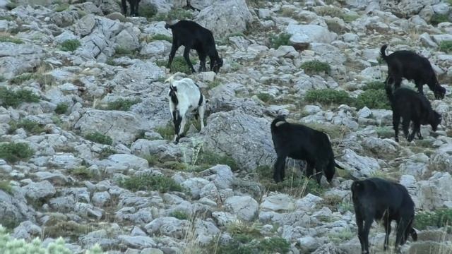 ПОДЪЕМ НА гору ТАХТАЛЫ / Турция смотреть онлайн