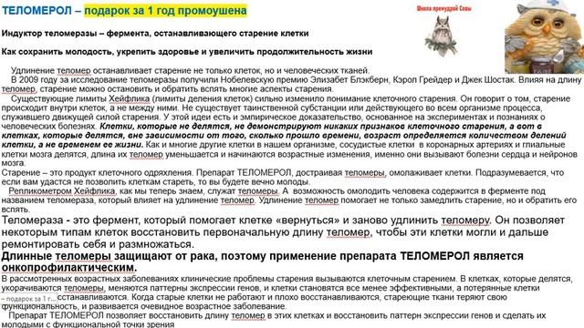Короткая презентация компании 