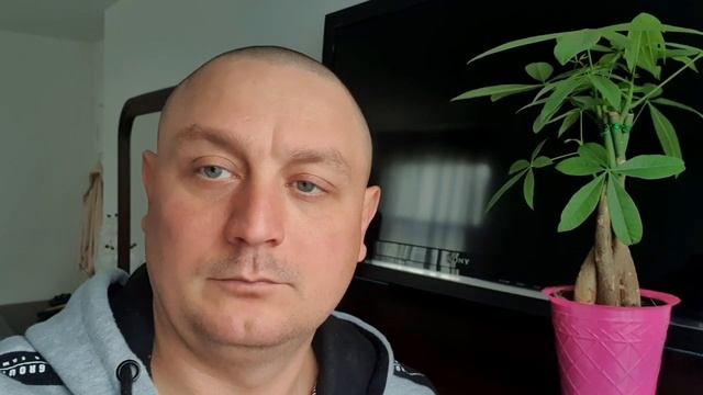 Карантин в США??.Вариант Б?! Прикол! смотреть онлайн