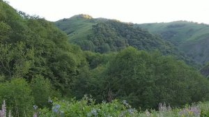 Чеченские Горы - Нашха (урочище Нашха, твердыня и сердце  чеченского народа/нахов)