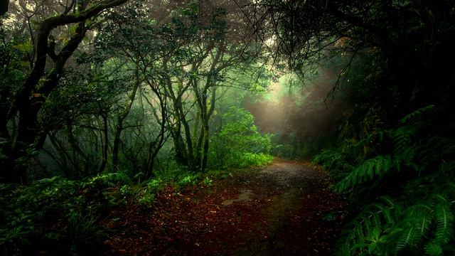 Музыка для сна, расслабления, снятия стресса, массажа и релакс дзен смотреть онлайн