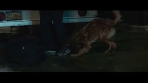 Tomas(Piotr Adamczyk) śpiewa "Chwała na wysokości"- "Hawkeye"