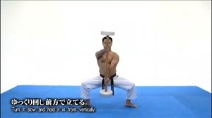 Ходзе  ундо